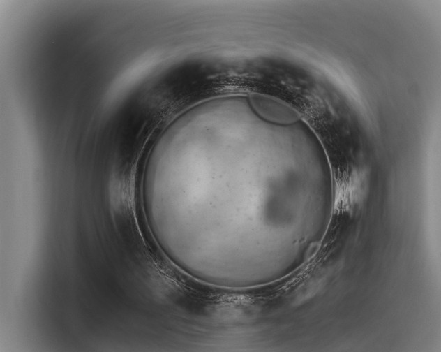 X0000115270195200911061314