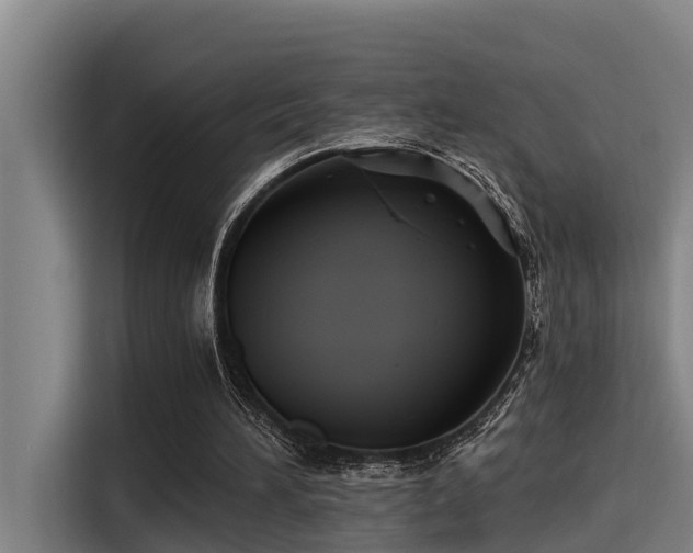 X0000115270196200911061314
