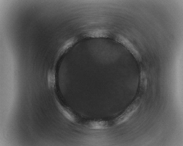 X0000115270202200911061314