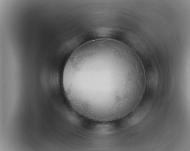 X0000115270213200911061314