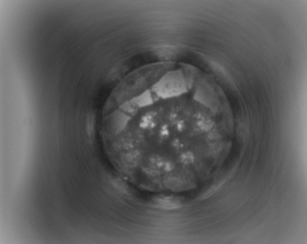 X0000115270221200911061314