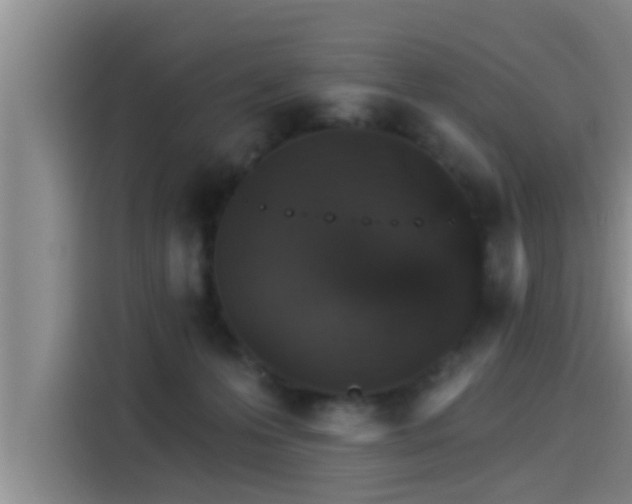 X0000115270223200911061314