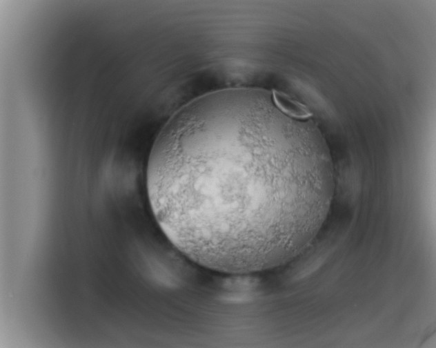 X0000115270225200911061314