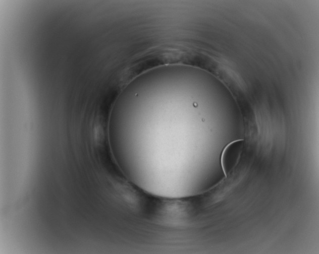 X0000115270226200911061314