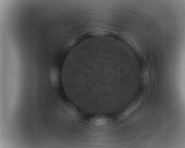 X0000115270228200911061314