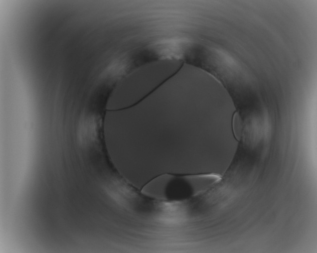 X0000115270229200911061314