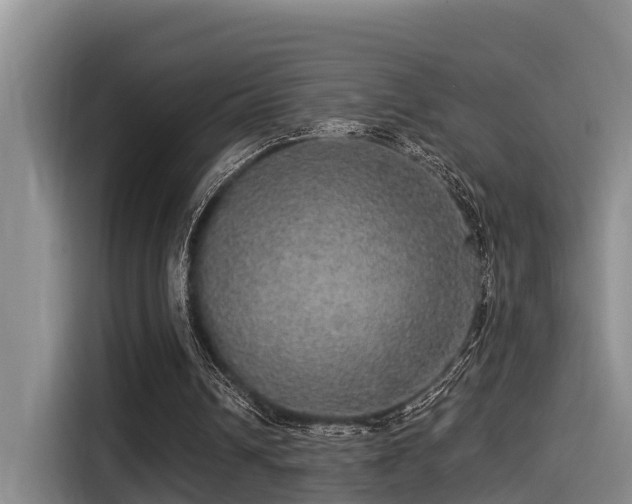 X0000115270242200911061313