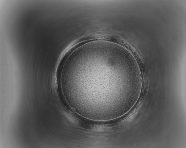 X0000115270246200911061313