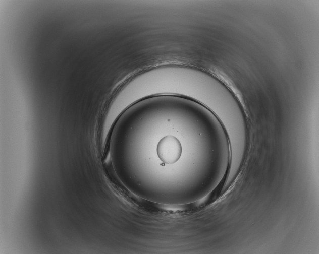 X0000115270249200911061313
