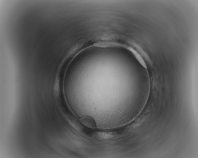 X0000115270250200911061313