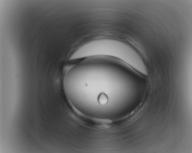 X0000115270265200911061314