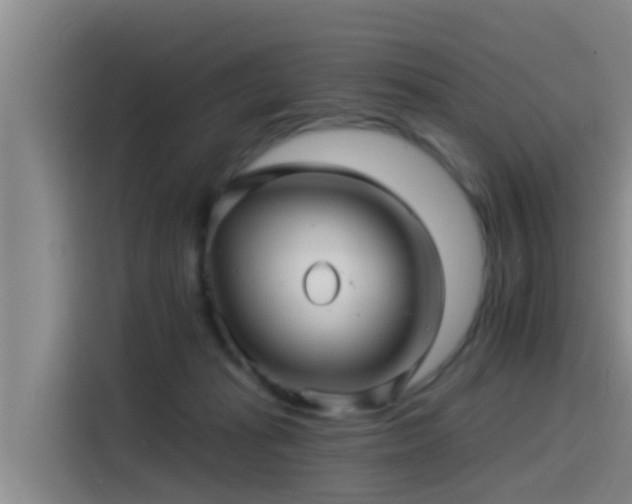 X0000115270269200911061314