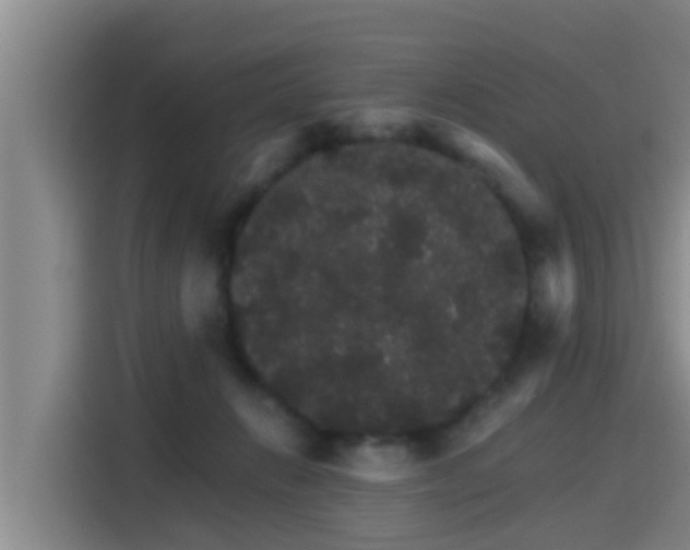 X0000115270270200911061314