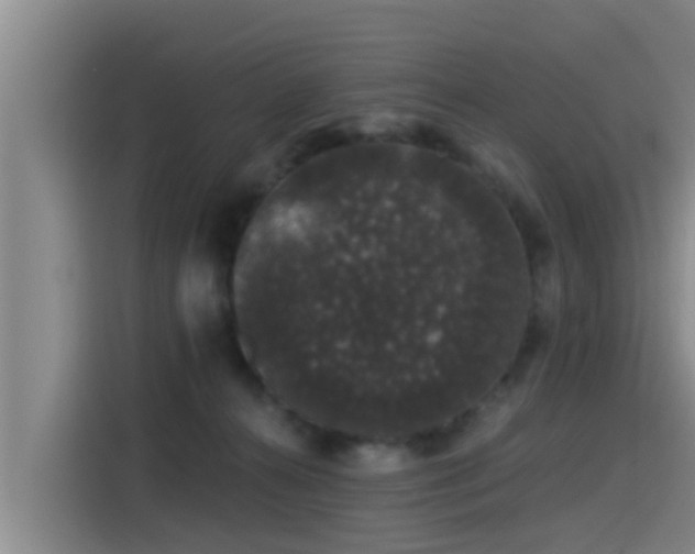 X0000115270272200911061314