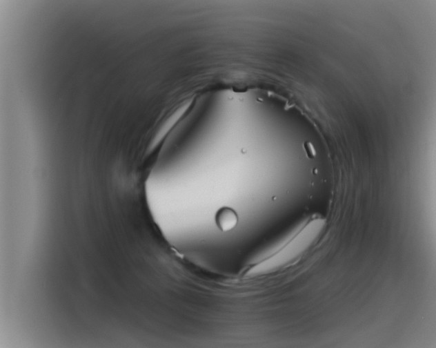 X0000115270273200911061314