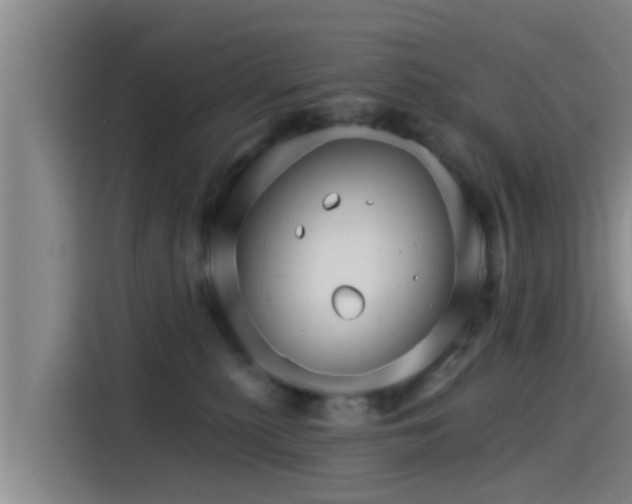 X0000115270279200911061314
