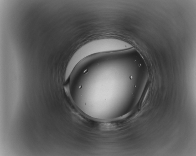 X0000115270281200911061314