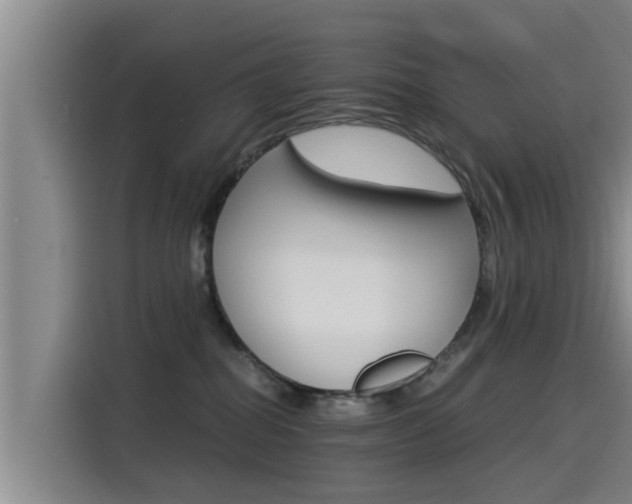 X0000115270282200911061314