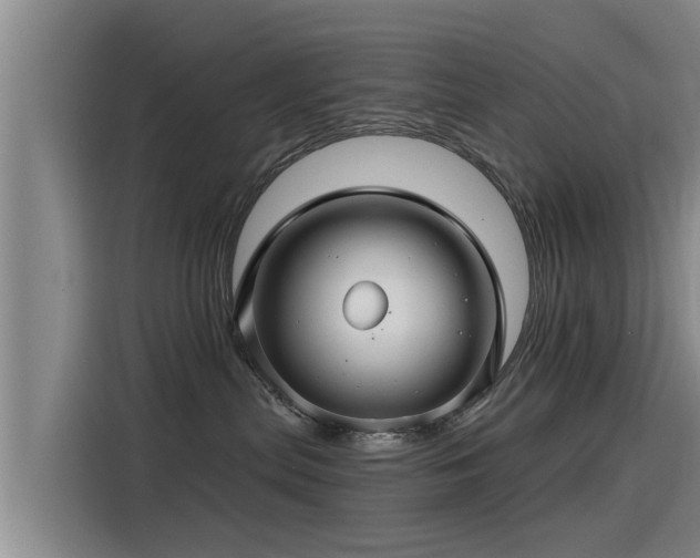 X0000115270287200911061314