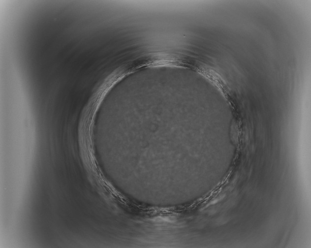 X0000115270289200911061313
