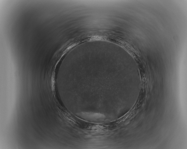 X0000115270290200911061313