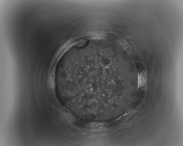 X0000115270291200911061313