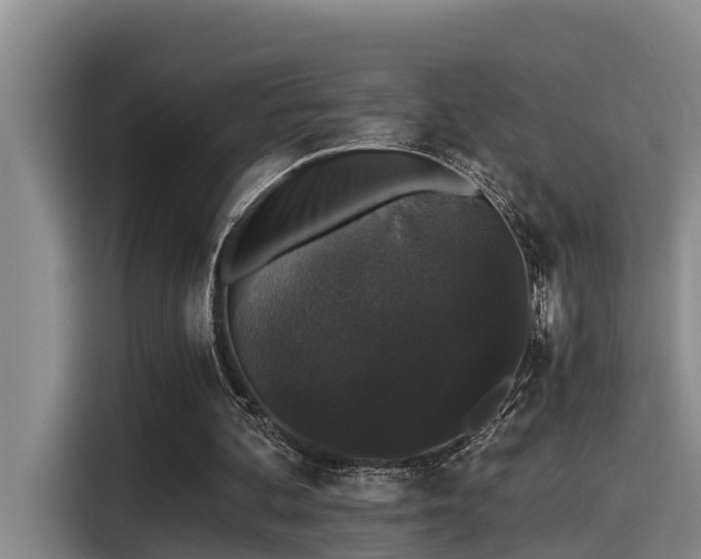 X0000115270292200911061313