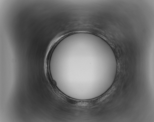 X0000115270294200911061313