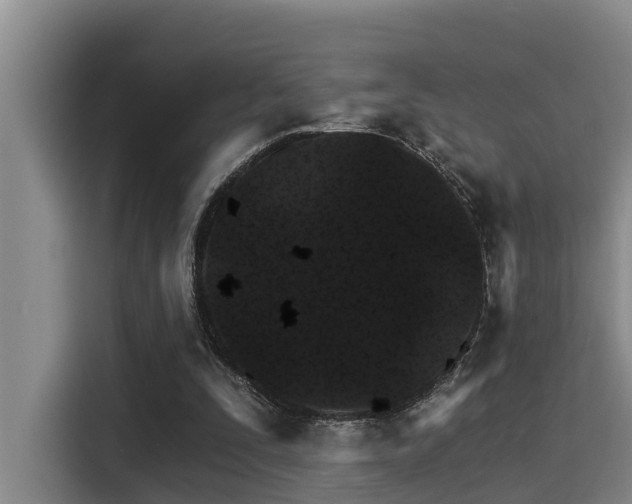 X0000115270295200911061313