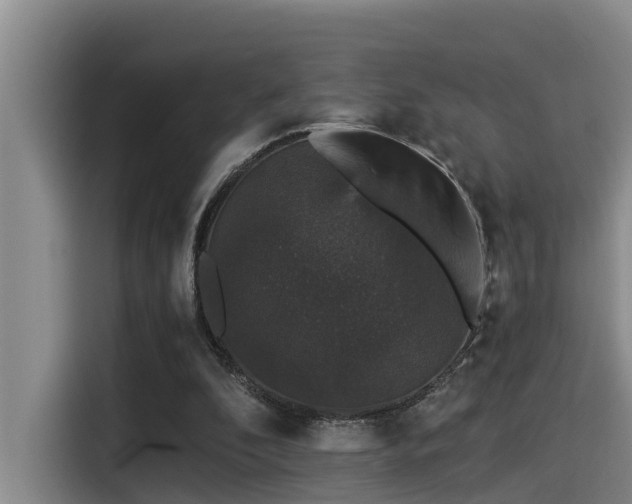 X0000115270296200911061313