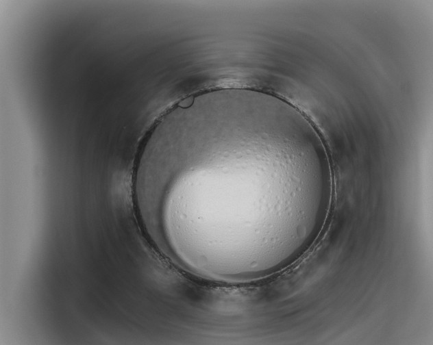 X0000115270297200911061313