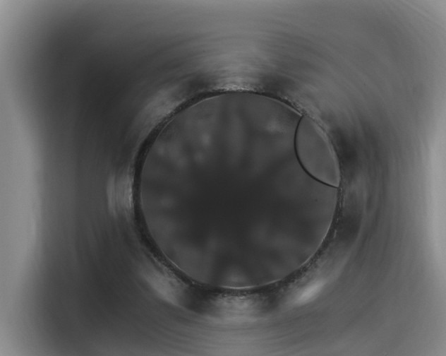 X0000115270299200911061313