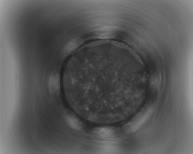 X0000115270303200911061313