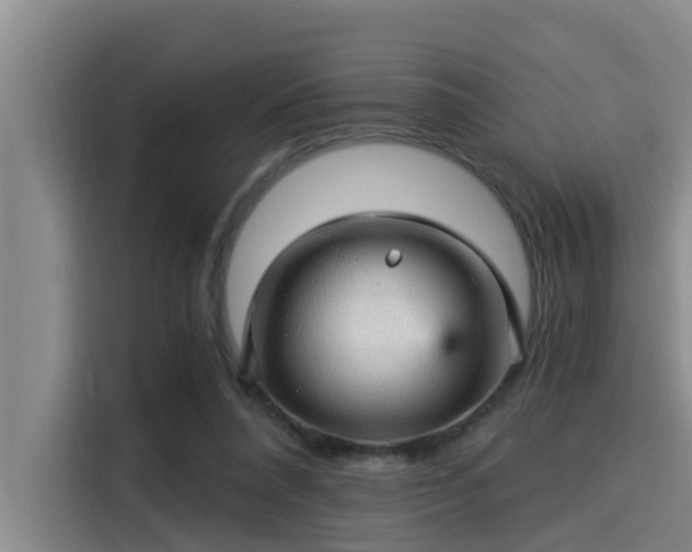 X0000115270304200911061313