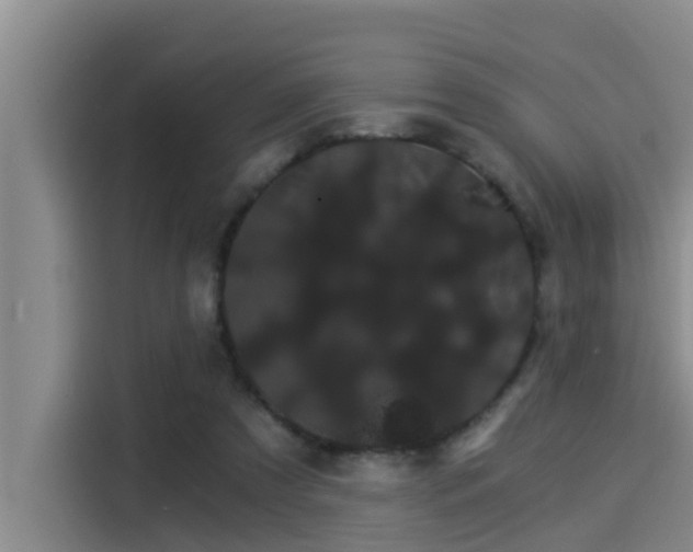 X0000115270305200911061313