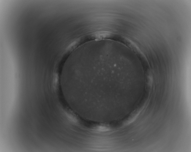 X0000115270308200911061313