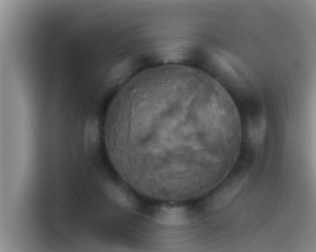 X0000115270311200911061313