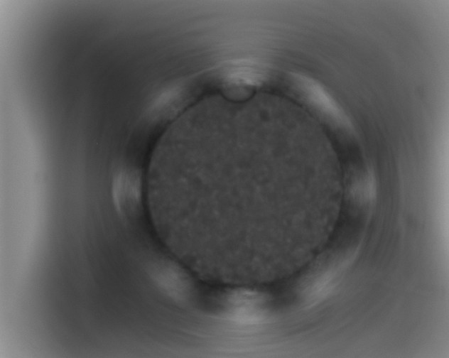 X0000115270315200911061313