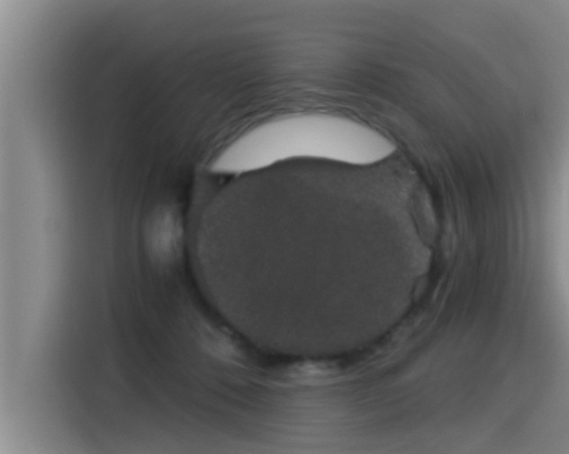 X0000115270320200911061313