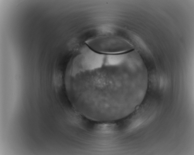 X0000115270323200911061313