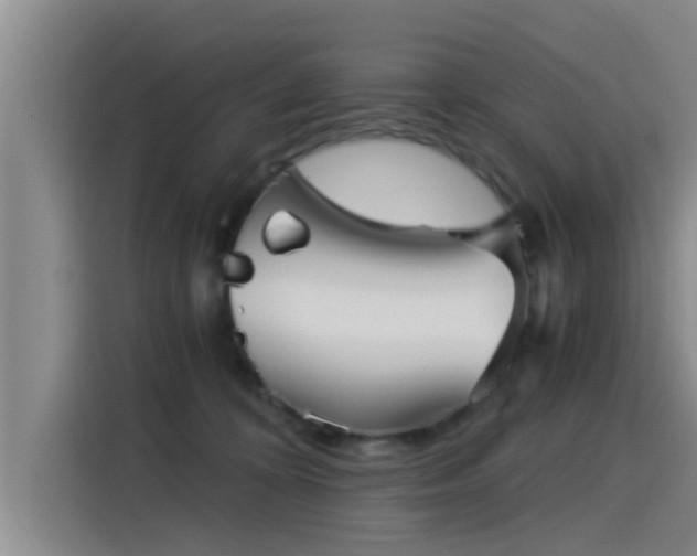 X0000115270324200911061313