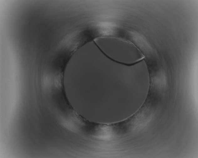 X0000115270325200911061313