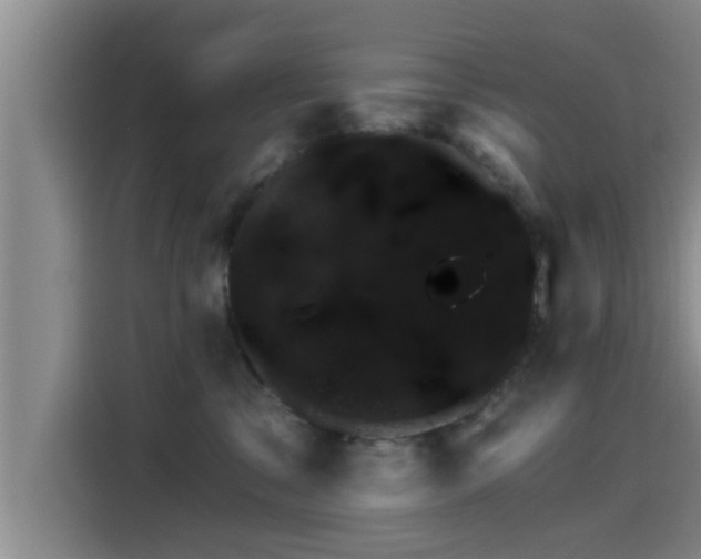 X0000115270329200911061313
