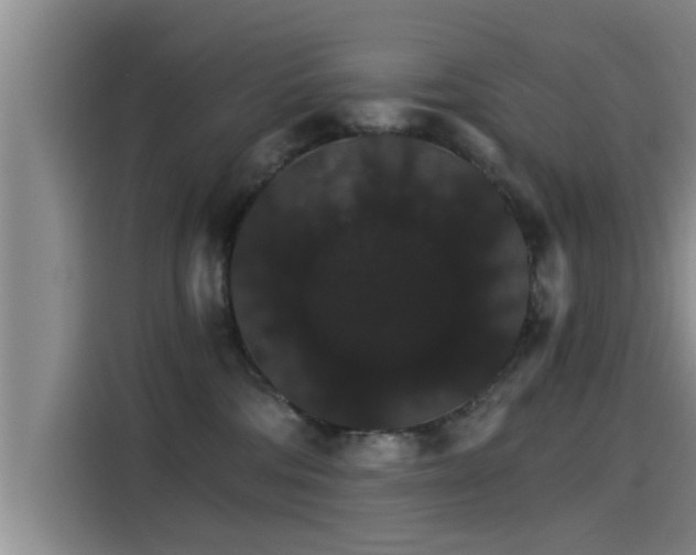 X0000115270330200911061313