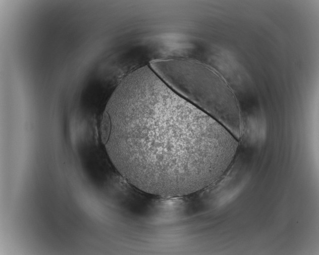 X0000115270333200911061313