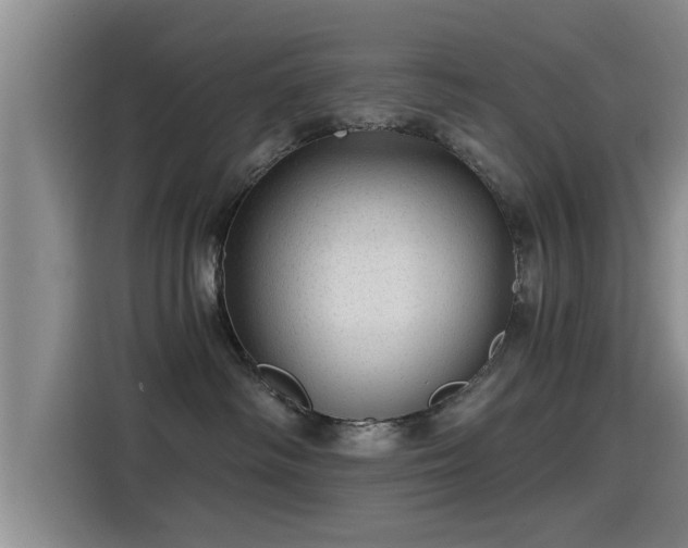 X0000115270334200911061313