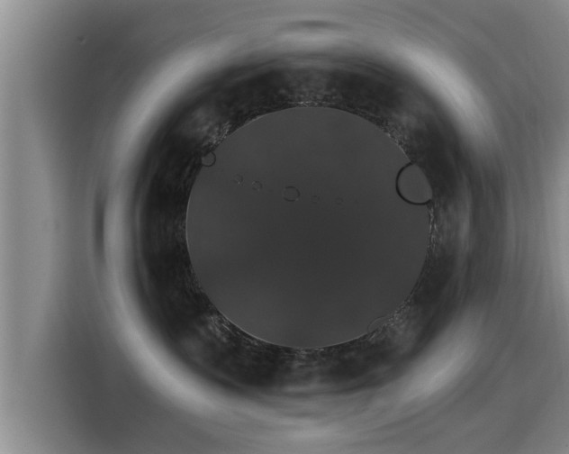 X0000115270335200911061313