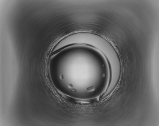 X0000115270337200911061312