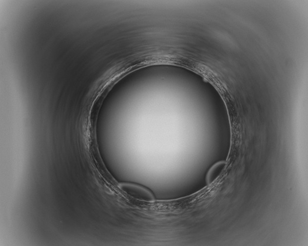 X0000115270338200911061312