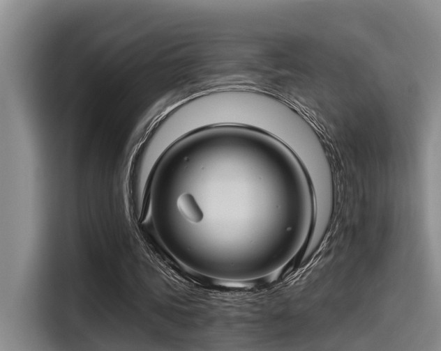 X0000115270339200911061312